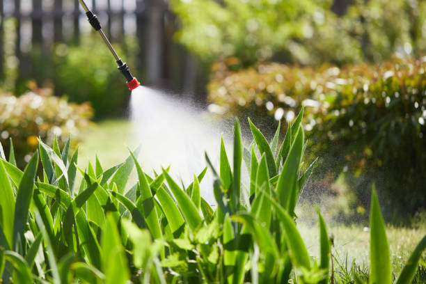 24/7 Emergency Mosquito Control experts in Dresden, OH